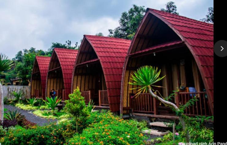 Kintamani Cabins Exteriér fotografie